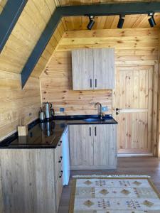 a kitchen with wooden cabinets and a sink in a cabin at Sapancalostbungalow in Feyziye