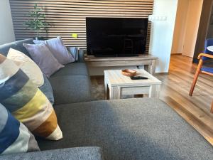 Телевізор і / або розважальний центр в Ocean View Suite near Sky Lagoon