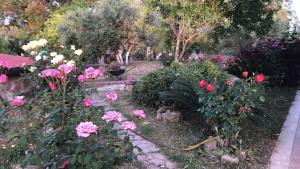 Um jardim no exterior de Camera Ginevra