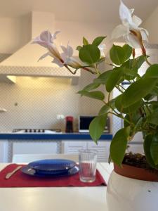 a vase with a plant on a table in a kitchen at Nest - Family House in Santa Flavia +37 photos