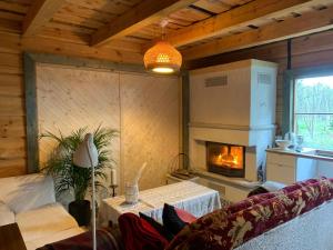 a living room with a fireplace in a cabin at Merevaatega puhkemaja Pädaste lahe ääres in Pädaste