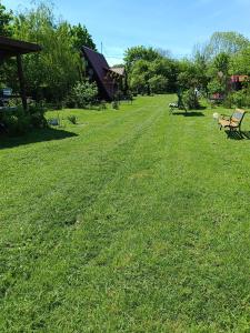 a field of green grass with a bench in it at Gospodarstwo Agroturystyczne na Mazurach in Jerutki +140 photos