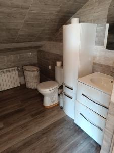a bathroom with a toilet and a sink at Gospodarstwo Agroturystyczne na Mazurach in Jerutki