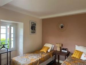 a bedroom with two beds and a window at Grande maison familiale avec jardin- 10 pers au coeur du Bearn in Guinarthe-Parenties