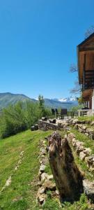 ein Baumstumpf im Gras neben einem Gebäude in der Unterkunft Gîte de montagne in Boussenac