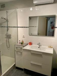 a bathroom with a sink and a shower with a mirror at Grande maison familiale avec jardin- 10 pers au coeur du Bearn in Guinarthe-Parenties +38 photos