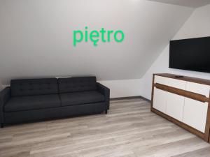 a living room with a black couch and a tv at Apartamenty całoroczne Ślesin in Ślesin