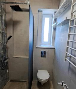 a bathroom with a toilet and a window at Liepājas brīvdienu māja ar dārzu in Liepāja