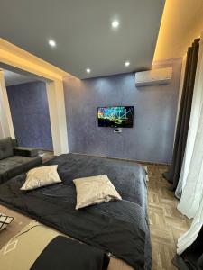 乌尔齐尼Stan Pinjes - Ulcinj的一间卧室，墙上有一张床和一台电视
