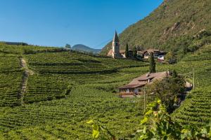 Naturlandskabet i nærheden af lejligheden