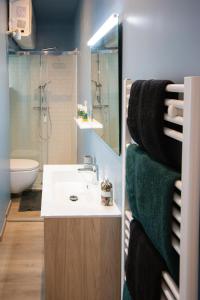 Un baño con lavabo, inodoro y espejo. en Le Céleste, Centre Historique, WIFI-Netflix, en Belfort 16 fotos más