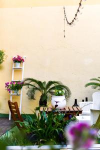 un patio con macetas y una mesa en Le Stanze del Centro, en Termoli 36 fotos más