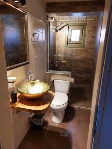 a bathroom with a sink and a toilet and a shower at Villa Exohi Rooftop in Exochí