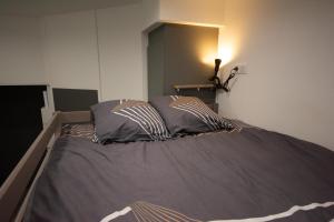a bed with two pillows on it in a room at Le Lionceau, Proche ville, Fibre&Netflix, Parking in Montbéliard