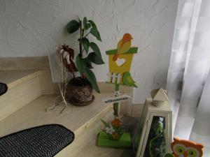 una habitación con una planta y un pájaro en un estante en Apartment Albers en Schmallenberg
