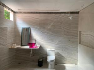 a bathroom with a toilet and a mirror on the wall at Mansão Mascarenhas in Lençóis