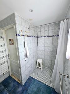 bagno con doccia e sgabello di Le Bastidon de Dudule a Montagnac Altre 19 foto