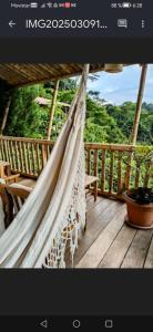 a hammock on a deck with a view of trees at Cabañas rurales Arabi in Pereira