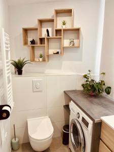 a bathroom with a toilet and a washing machine at La Maison d'à Coté in Saint-Jean-le-Blanc