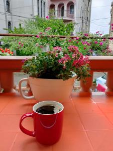 Balcone o terrazza di dom v kobuleti