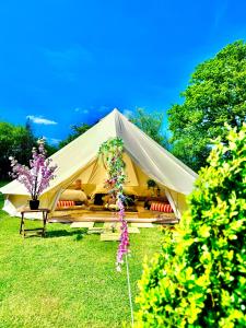 CAYORETREAT LUXURY BELL TENT外面的花园