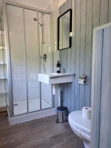 a bathroom with a shower and a sink and a toilet at Zeeuwse Landhoeve Chalet in Brouwershaven