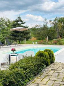 Bazén v ubytování Fruska Pool House nebo v jeho okolí + 37 fotografií