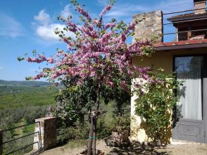 un árbol con flores púrpuras delante de una casa en Agriturismo Fattoio alle Ripe - Frantoio, en SantʼEllero