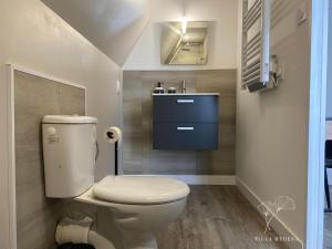 a bathroom with a toilet and a sink at Appart 2 Chambres, Centre Ville, Parking privé clos, Local vélo in Mayenne