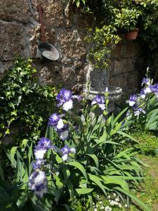 Zahrada ubytování B&B Etruscan Garden