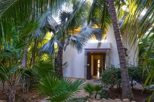 Taman di luar Casa Tornasol