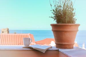 a plant and a cup and a book on a balcony at Camara Homes in Andros