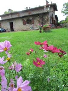 a group of pink flowers in front of a house at Rosso Papavero Home in Borgo San Lorenzo