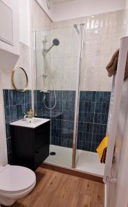 a bathroom with a shower and a toilet and a sink at Studio centre Rennes in Rennes