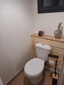 a bathroom with a white toilet and a wooden counter at L'avocette Gîtes de la réserve in Grand-Laviers +15 photos