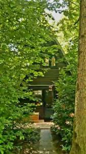 a house is seen through the leaves of trees at A Wood Lodge - zwembad - relax - natuur in Durbuy