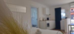 Fotografie z fotogalerie ubytování Kadenca v destinaci Umag