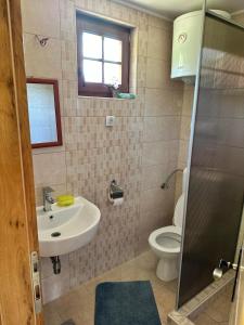 a bathroom with a sink and a toilet at Vikendica na Janju in Šipovo +18 photos