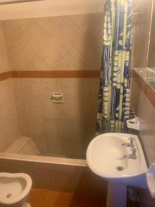 ArgentinaにあるApartLeonの洗面台、トイレ、シャワー付きのバスルーム