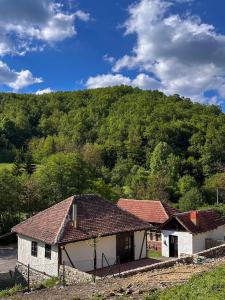 Fotografie z fotogalerie ubytování Rajkova Divana v destinaci Krepoljin
