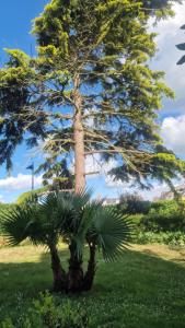 Afbeelding uit fotogalerij van Le Petit Marais in Isigny-sur-Mer