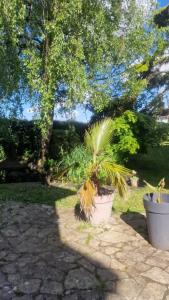 Afbeelding uit fotogalerij van Le Petit Marais in Isigny-sur-Mer