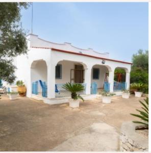 a white house with potted plants in front of it at Villa Trullo Septis in Ostuni