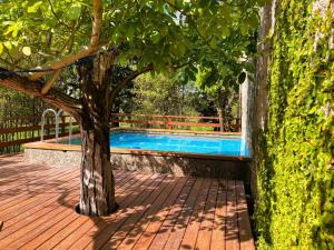 a tree sitting next to a swimming pool at Casa Ar da Beira - Serra da Estrela - Belmonte in Belmonte