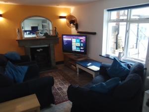 een woonkamer met een tv en een open haard bij Penzer Cottage in Mousehole