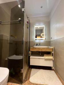 a bathroom with a sink and a shower with a mirror at Stipos Apartment in Koper +15 photos