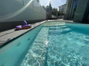 basen z fioletowymi dmuchanymi zabawkami w wodzie w obiekcie Appartamento in città con Giardino e Piscina privati w Bergamo