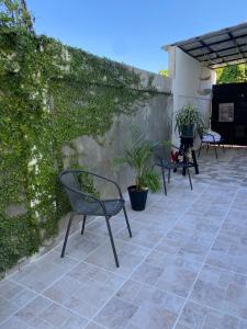 a patio with chairs and a wall with plants at Little Room Airport By Merengue House in Monte Adentro