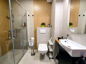 Ένα μπάνιο στο Apartament Miro +10 φωτογραφίες