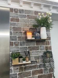 Una pared de ladrillos con estantes y plantas. en Lilly Apartament, en Pogradec